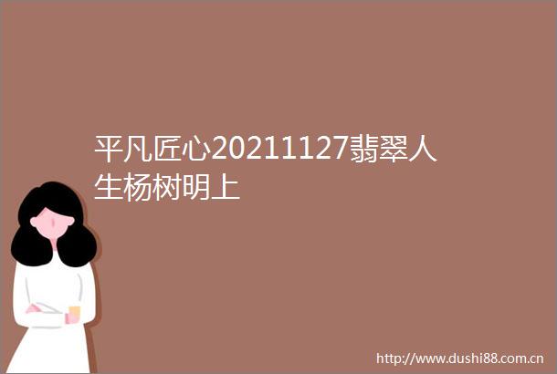 平凡匠心20211127翡翠人生杨树明上