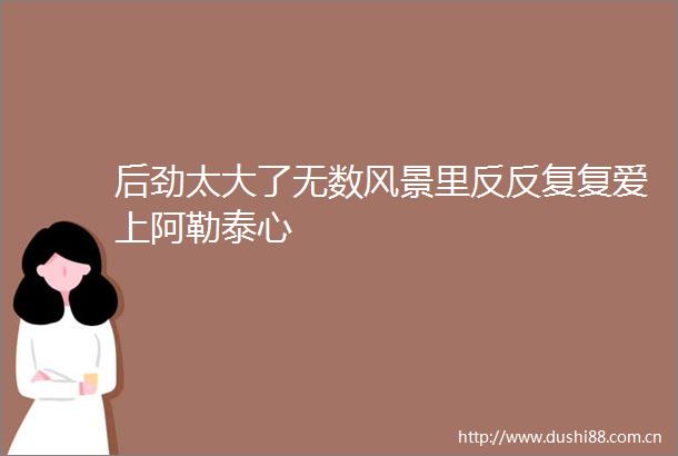 后劲太大了无数风景里反反复复爱上阿勒泰心