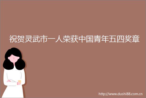 祝贺灵武市一人荣获青年五四奖章