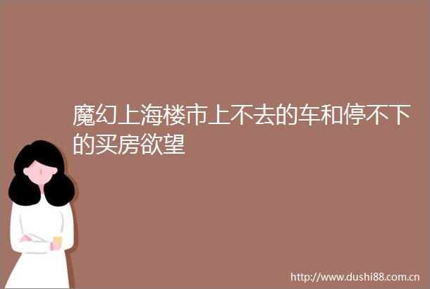 魔幻上海楼市上不去的车和停不下的买房欲望