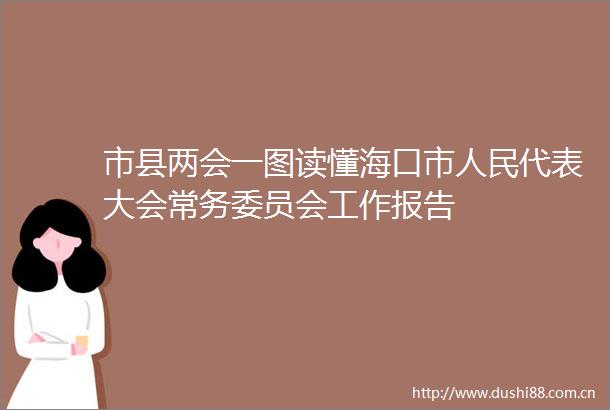 市县两会一图读懂海口市代表大会常务委员会工作报告