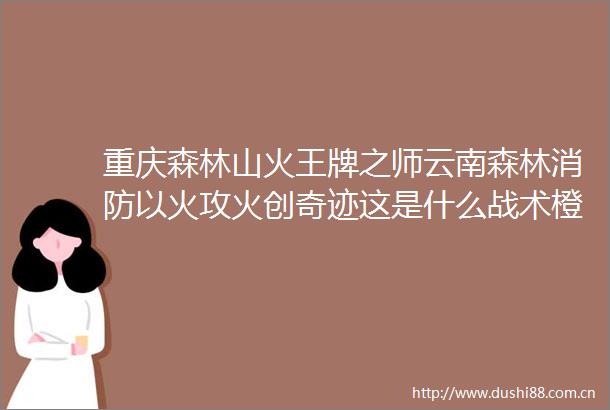 重庆森林山火王牌之师云南森林消防以火攻火创奇迹这是什么战术橙柿互动对话一线指战员