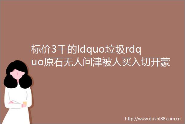 标价3千的ldquo垃圾rdquo原石无人问津被人买入切开蒙圈了