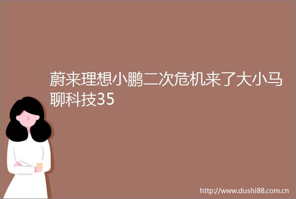 蔚来理想小鹏二次危机来了大小马聊科技35