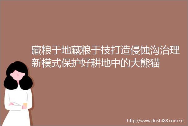 藏粮于地藏粮于技打造侵蚀沟治理新模式保护好耕地中的大熊猫