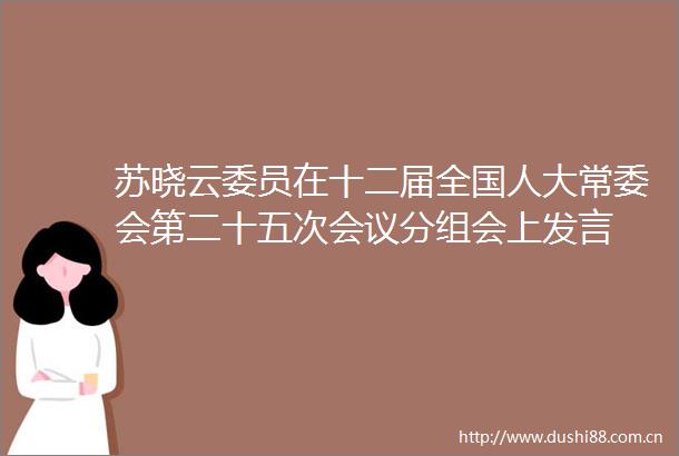 苏晓云委员在十二届全国人大常委会第二十五次会议分组会上发言