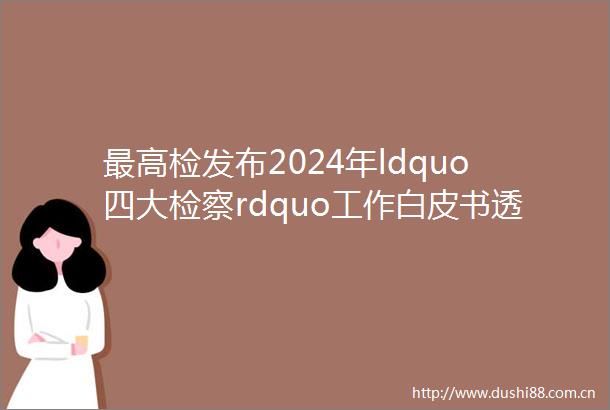 最高检发布2024年ldquo四大检察rdquo工作白皮书透过数据和案例看ldquo2024检察答卷rdquo