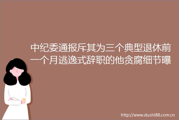 中纪委通报斥其为三个典型退休前一个月逃逸式辞职的他贪腐细节