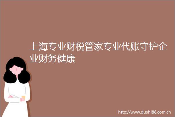 上海专业财税管家专业代账守护企业财务健康