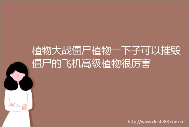 植物大战僵尸植物一下子可以摧毁僵尸的飞机高级植物很厉害