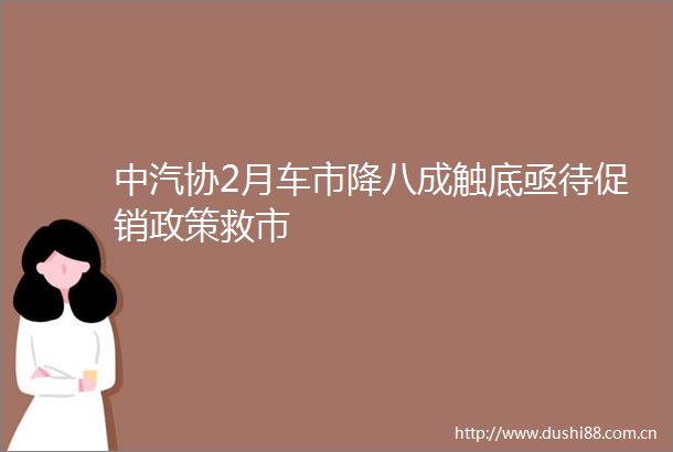中汽协2月车市降八成触底亟待促销政策救市