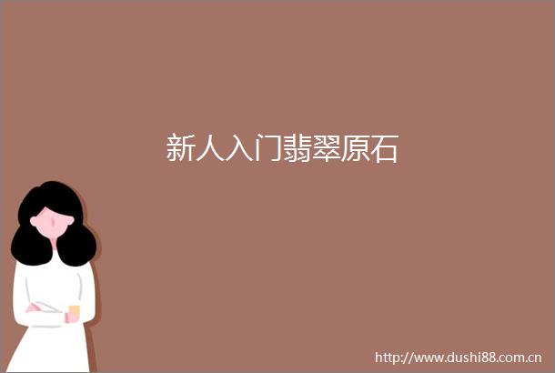 新人入门翡翠原石