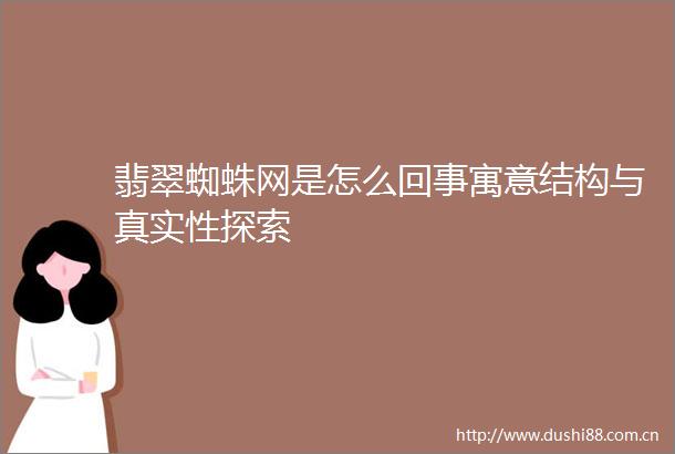 翡翠蜘蛛网是怎么回事寓意结构与真实性探索