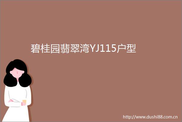 碧桂园翡翠湾YJ115户型