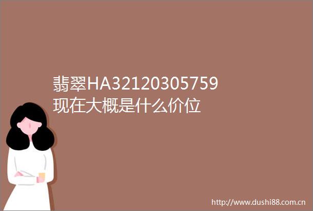 翡翠HA32120305759现在大概是什么价位