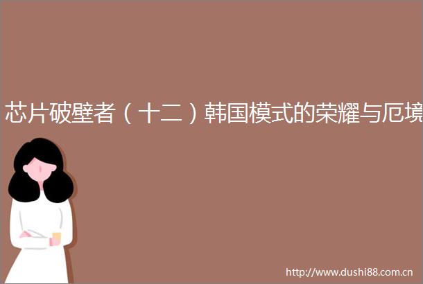 芯片破壁者（十二）韩国模式的荣耀与厄境