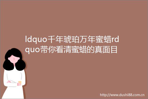 ldquo千年琥珀万年蜜蜡rdquo带你看清蜜蜡的真面目