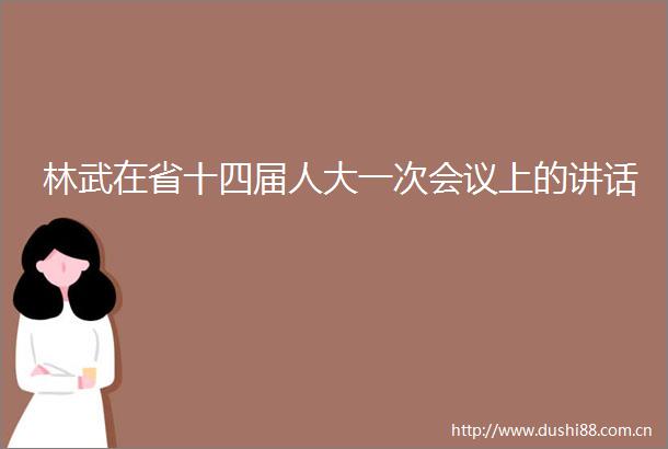 林武在省十四届人大一次会议上的讲话