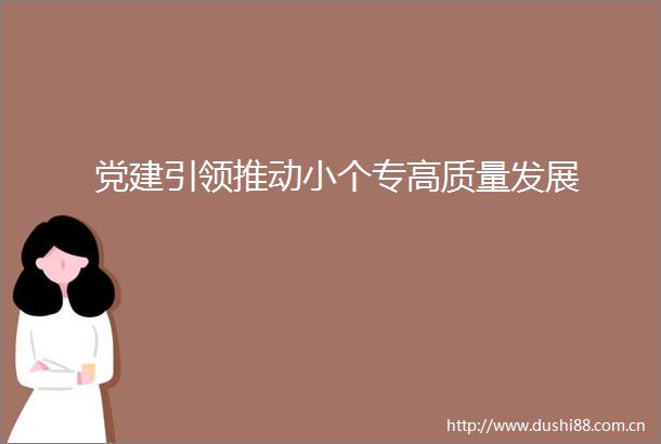 党建引领推动小个专高质量发展