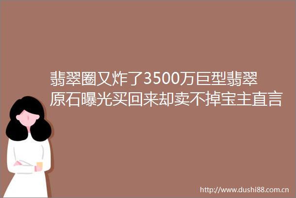 翡翠圈又炸了3500万巨型翡翠原石买回来却卖不掉宝主直言要吃土