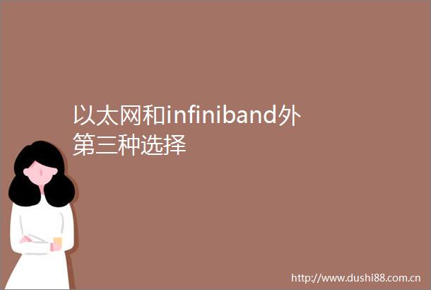 以太网和infiniband外第三种选择