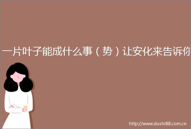 一片叶子能成什么事（势）让安化来告诉你