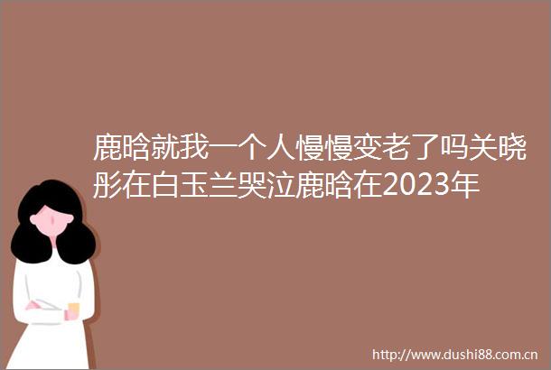鹿晗就我一个人慢慢变老了吗关晓彤在白玉兰哭泣鹿晗在2023年曾开玩笑不想长大