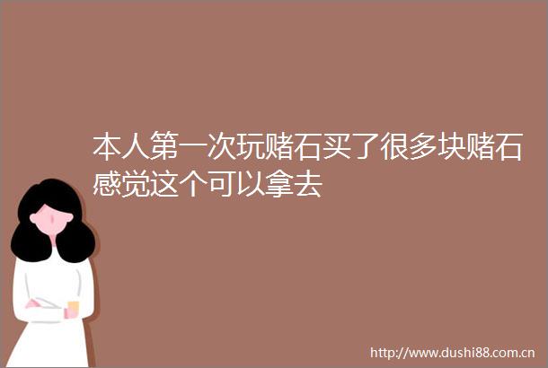 本人第一次玩赌石买了很多块赌石感觉这个可以拿去