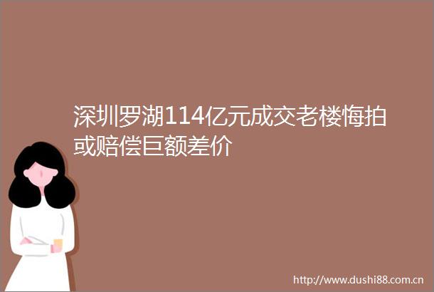 深圳罗湖114亿元成交老楼悔拍或赔偿巨额差价