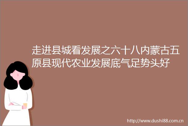 走进县城看发展之六十八内蒙古五原县现代农业发展底气足势头好