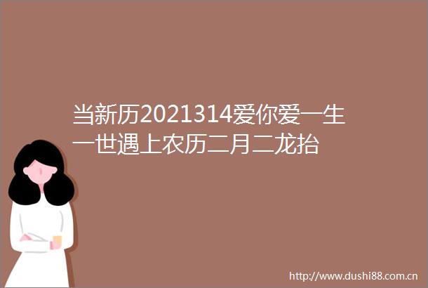 当新历2021314爱你爱一生一世遇上农历二月二龙抬