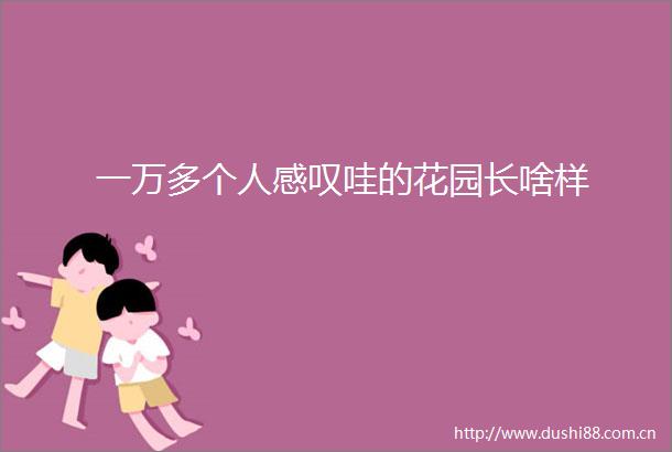 一万多个人感叹哇的花园长啥样