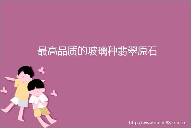 最高品质的玻璃种翡翠原石