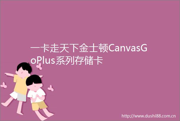 一卡走天下金士顿CanvasGoPlus系列存储卡
