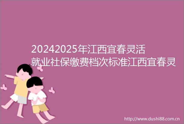 20242025年江西宜春灵活就业社保缴费档次标准江西宜春灵活就业人员社保缴费明细是怎么样的0609
