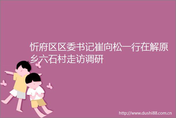 忻府区区委书记崔向松一行在解原乡六石村走访调研