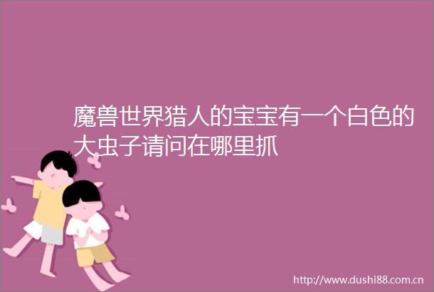 魔兽世界猎人的宝宝有一个白色的大虫子请问在哪里抓
