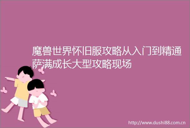 魔兽世界怀旧服攻略从入门到精通萨满成长大型攻略现场