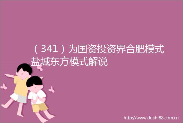 （341）为国资投资界合肥模式盐城东方模式解说