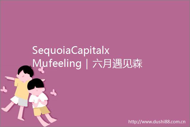 SequoiaCapitalxMufeeling｜六月遇见森林之光