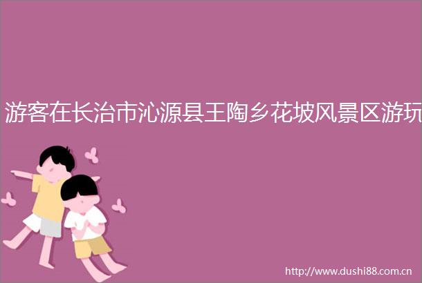 游客在长治市沁源县王陶乡花坡风景区游玩