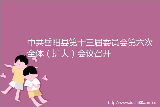 岳阳县第十三届委员会第六次全体（扩大）会议召开