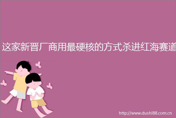 这家新晋厂商用最硬核的方式杀进红海赛道