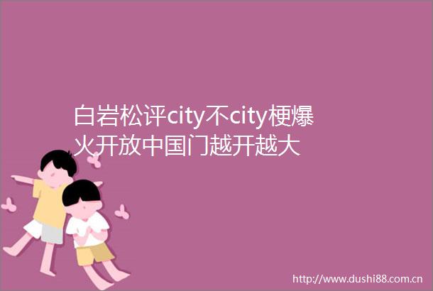 白岩松评city不city梗爆火开放门越开越大