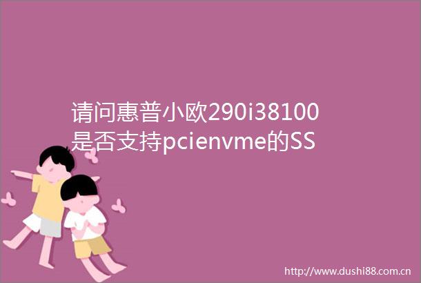 请问惠普小欧290i38100是否支持pcienvme的SSD