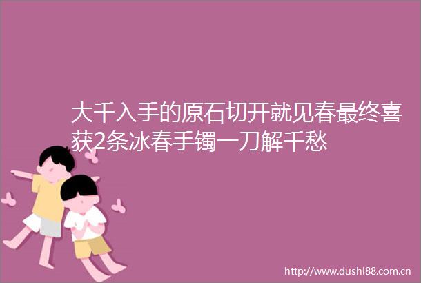 大千入手的原石切开就见春最终喜获2条冰春手镯一刀解千愁