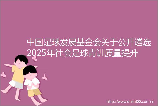 足球发展基金会关于公开遴选2025年社会足球青训质量提升行动计划受资助机构的通知