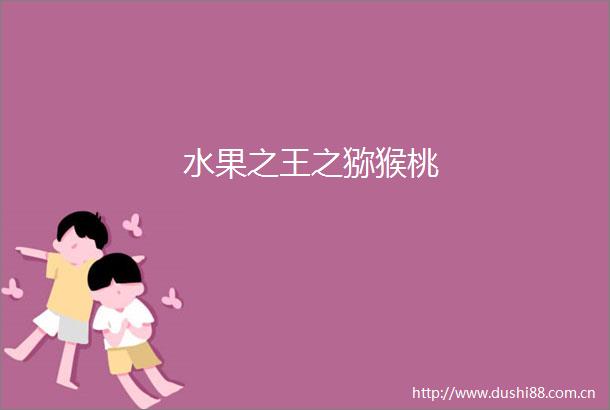 水果之王之猕猴桃
