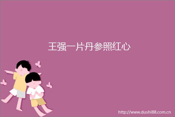 王强一片丹参照红心