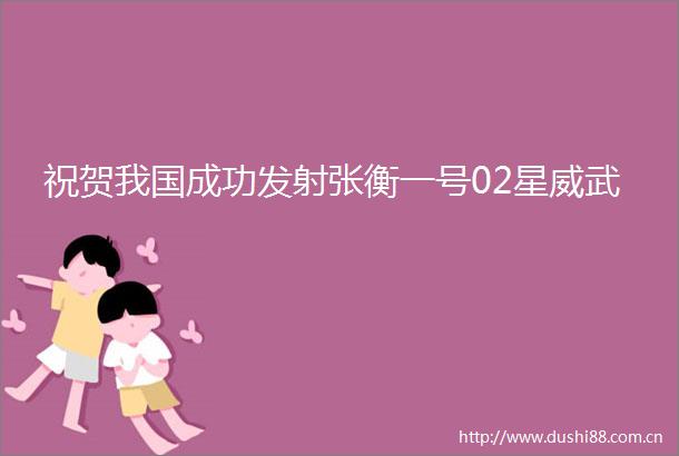 祝贺我国成功发射张衡一号02星威武